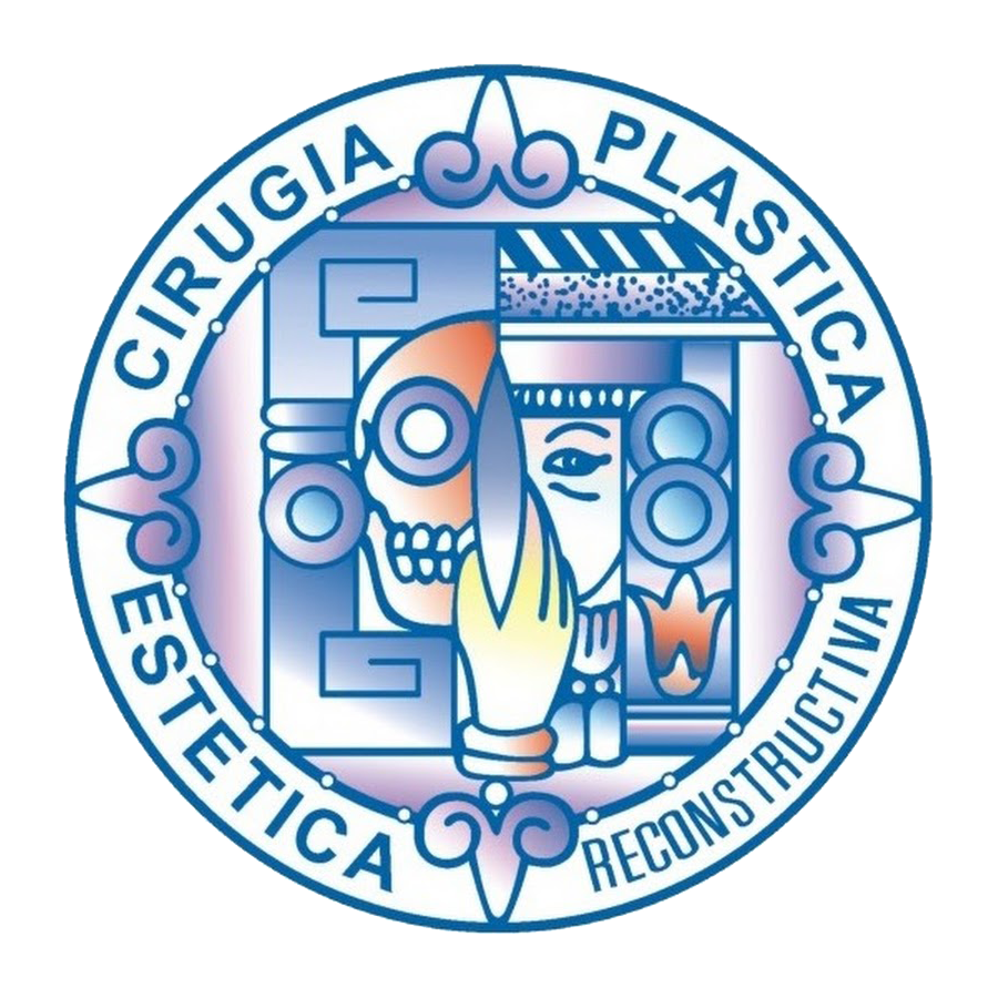 Logo CONSEJO CIRUGIA PLASTICA
